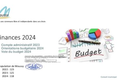Synthèse budgétaire 2024