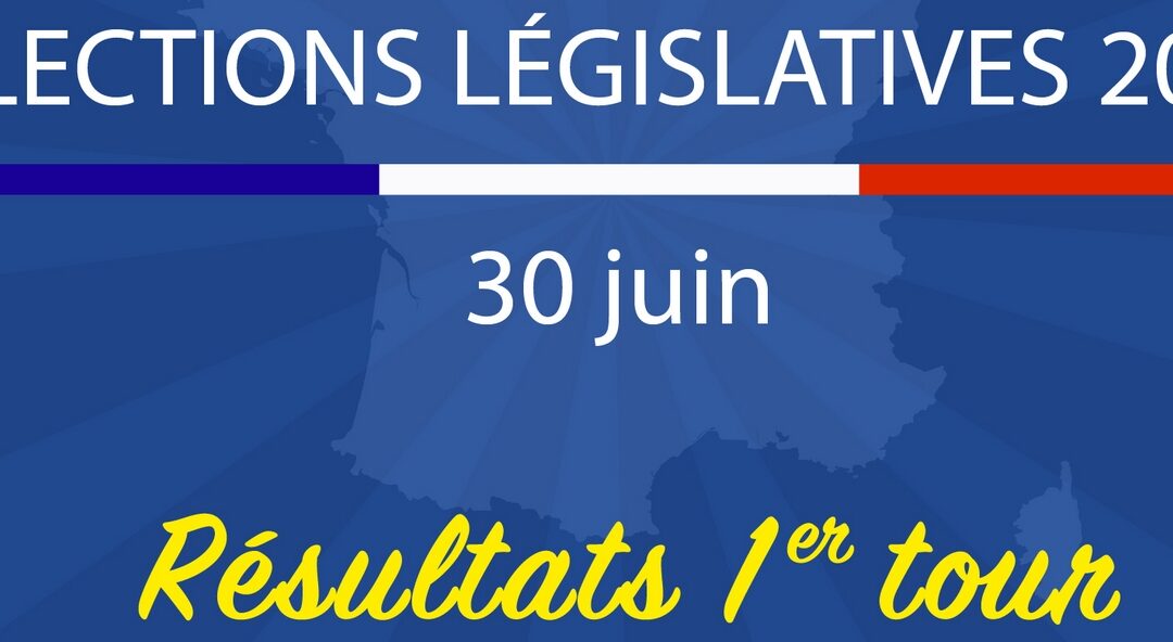 Élections législatives 2024