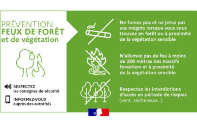 🔥 Prévention des incendies : Respectons nos forêts et notre sécurité ! 🔥