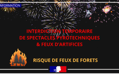 Interdiction temporaire des feux d’artifice et spectacles pyrotechniques – Val-d’Oise